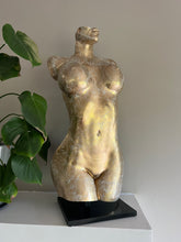 Load image into Gallery viewer, Samford Studio Bodycasting Session
