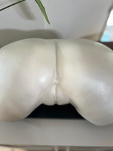 Load image into Gallery viewer, Samford Studio Bodycasting Session
