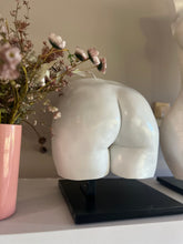 Load image into Gallery viewer, Samford Studio Bodycasting Session
